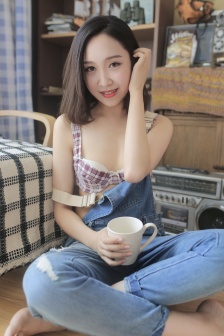 秘密女搜查官系列